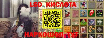 apvp Канаш