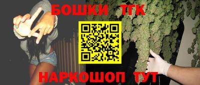 твердый Камышлов
