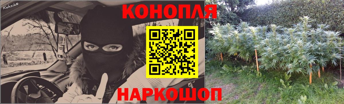 Лесозаводск  Бошки марихуана планчик  Бошки Шишки ГИДРОПОН  Вход с VPN 